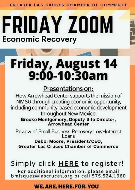 Friday Zoom-Economic Recovery