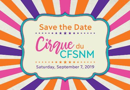 2019 Gala - Cirque du CFSNM